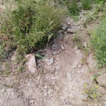cauce del arroyo Ramabujas 15-06-2016
