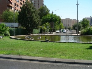 1-DSCN0850