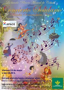 Concierto Solidario 2