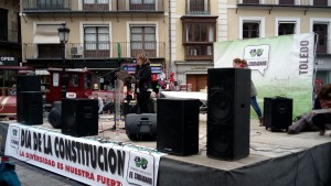 fotos-constitucion-viijpg-copia