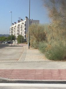 IMG-20171027-WA0025