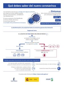 thumbnail of Infografia_nuevo_coronavirus-edit (azul)