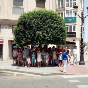 ARBOL SOMBRA