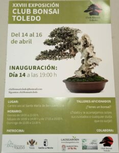 Club Bonsai Toledo_2023