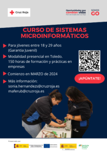 sistemas informaticos jovenes