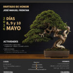 CLUB BONSAI TOLEDO 2026